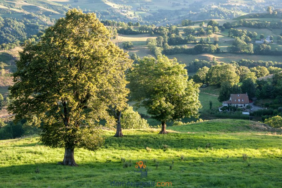 Paysage du Cantal